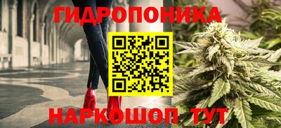 spice Краснодар