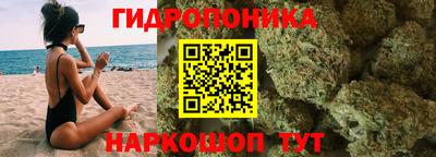 шишки Краснокаменск
