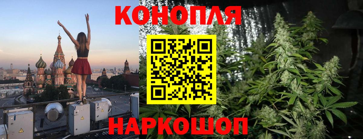 Бошки Шишки сатива  Вход с VPN  Марихуана сатива  Иваново 